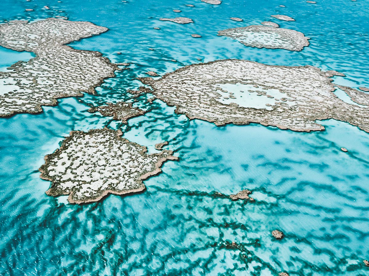 como é mergulhar na grande barreira de corais na Australia