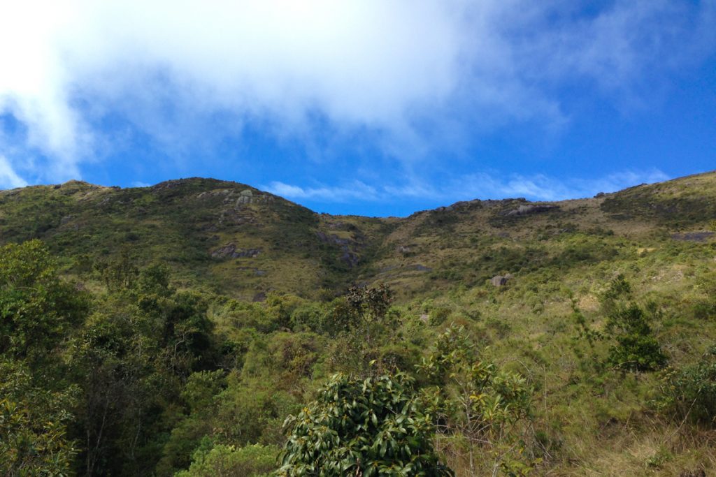 Trilha Morro Açú