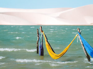 Transfer Jericoacoara: qual é a melhor empresa para fazer o trajeto? Quanto custa?