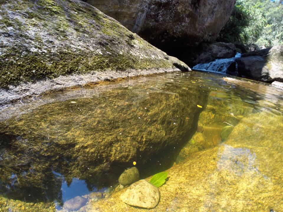 poço dos primatas, petropolis