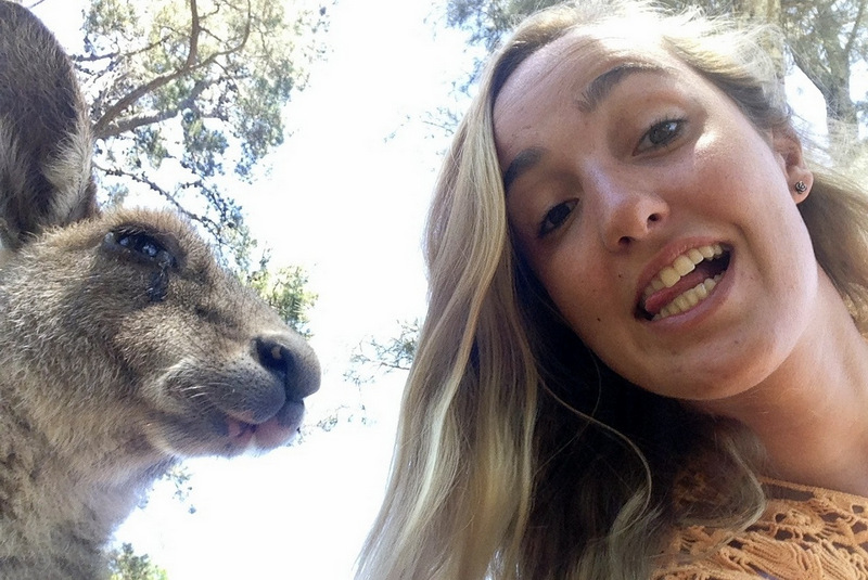 selfie com canguru