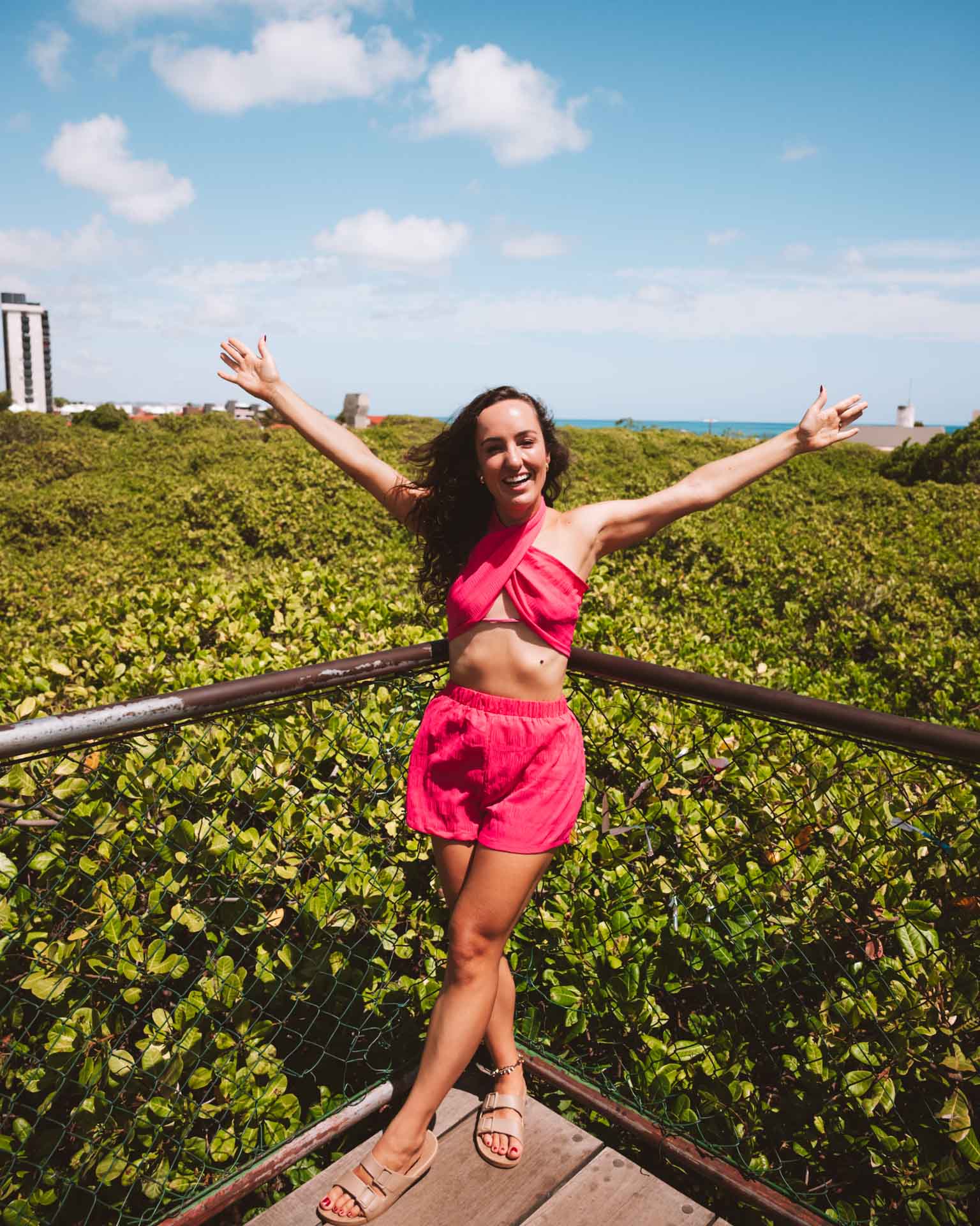 maior cajueiro do mundo natal rn