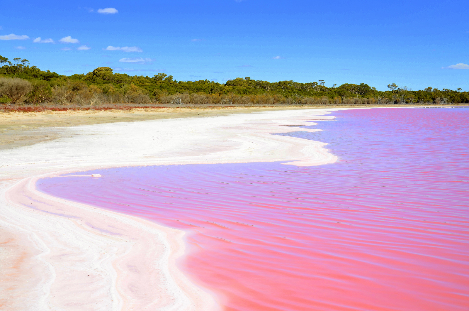 lago cor de rosa na australia
