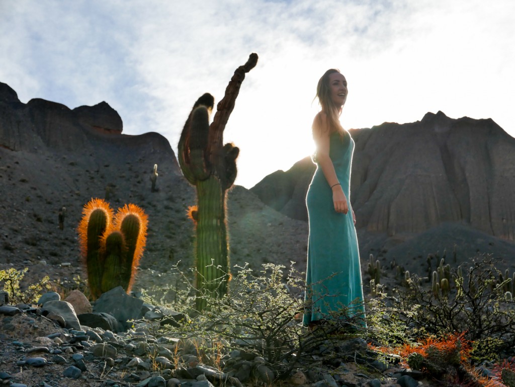 Foto no Parque Nacional Los Cardones em Salta