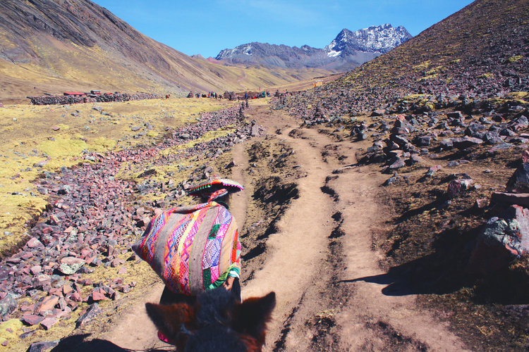peruana subindo a montanha colorida do peru