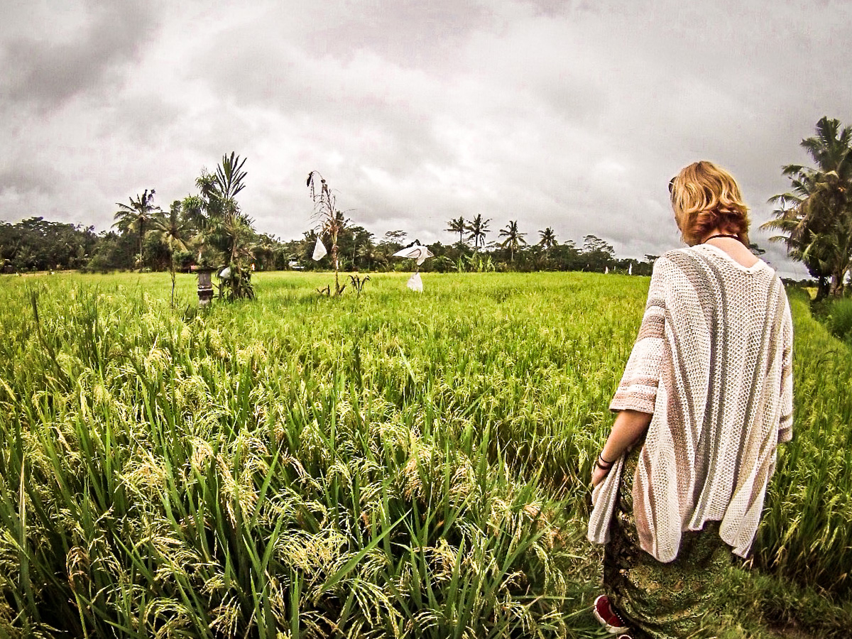 Campos de arroz, Ubud, Bali
