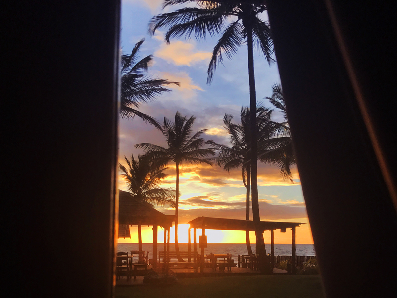 JANELA_DREAMLAND_BUNGALOWS