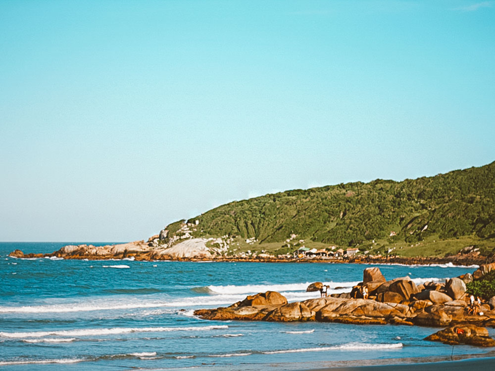 Passeio a cavalo: um jeito diferente de explorar a Praia do Rosa –  Hospedaria das Brisas