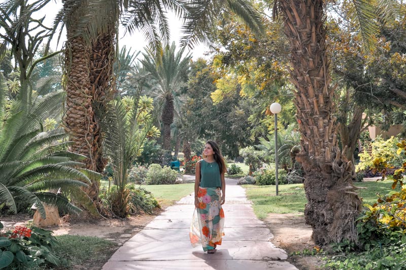 jardim botanico em israel