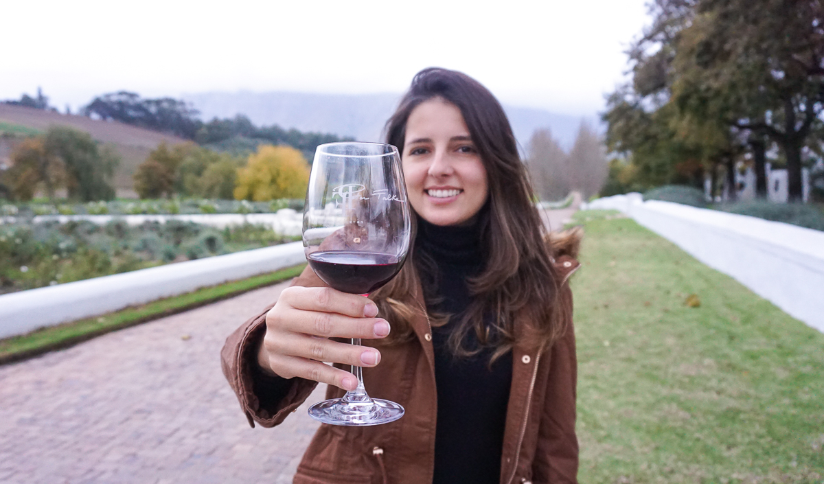 vinícolas áfrica do sul