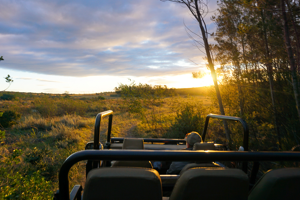 Gondwana Game Reserve