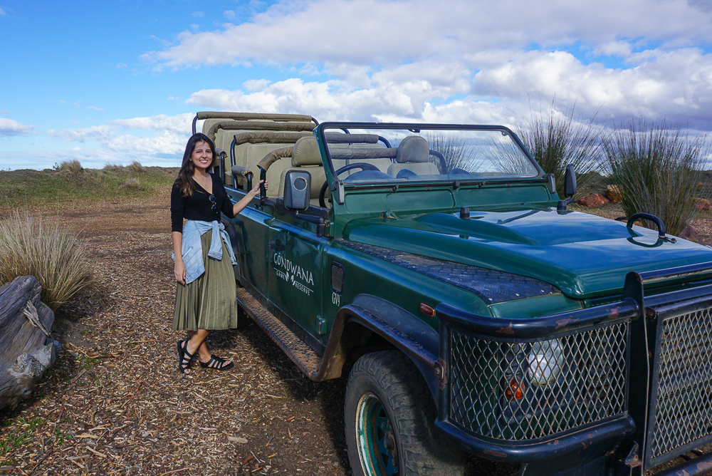 Gondwana Game Reserve: Safári imperdível próximo a Cape Town