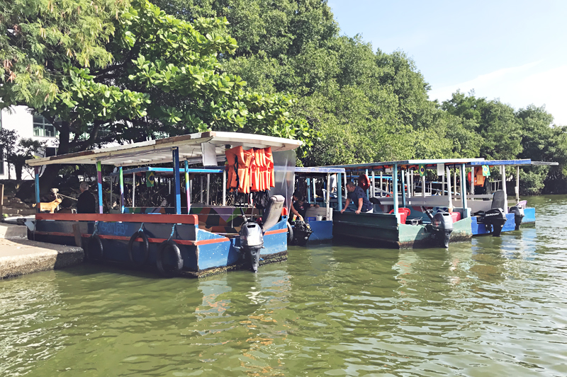 Balsas da Ilha da Gigóia