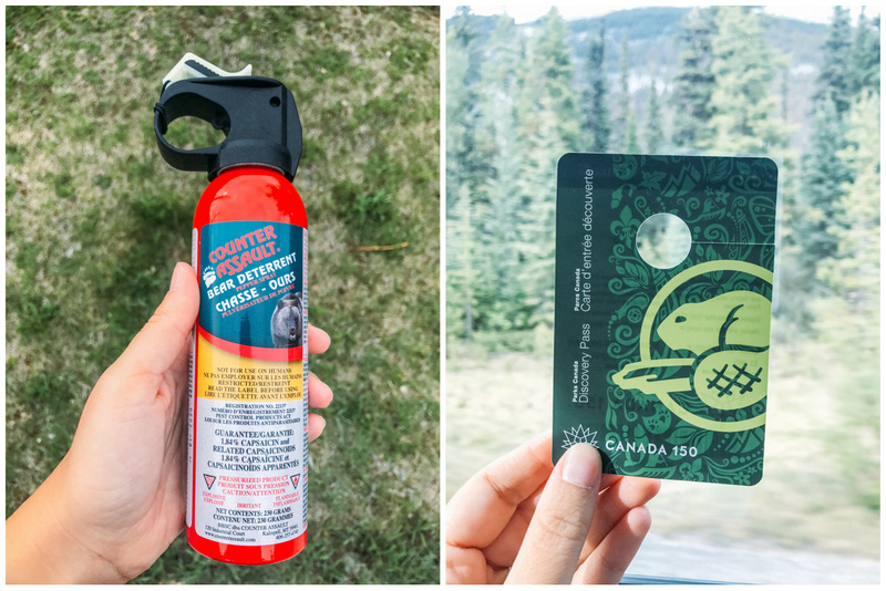 Spray anti urso (esquerda) e Parks Canada permit (direita)