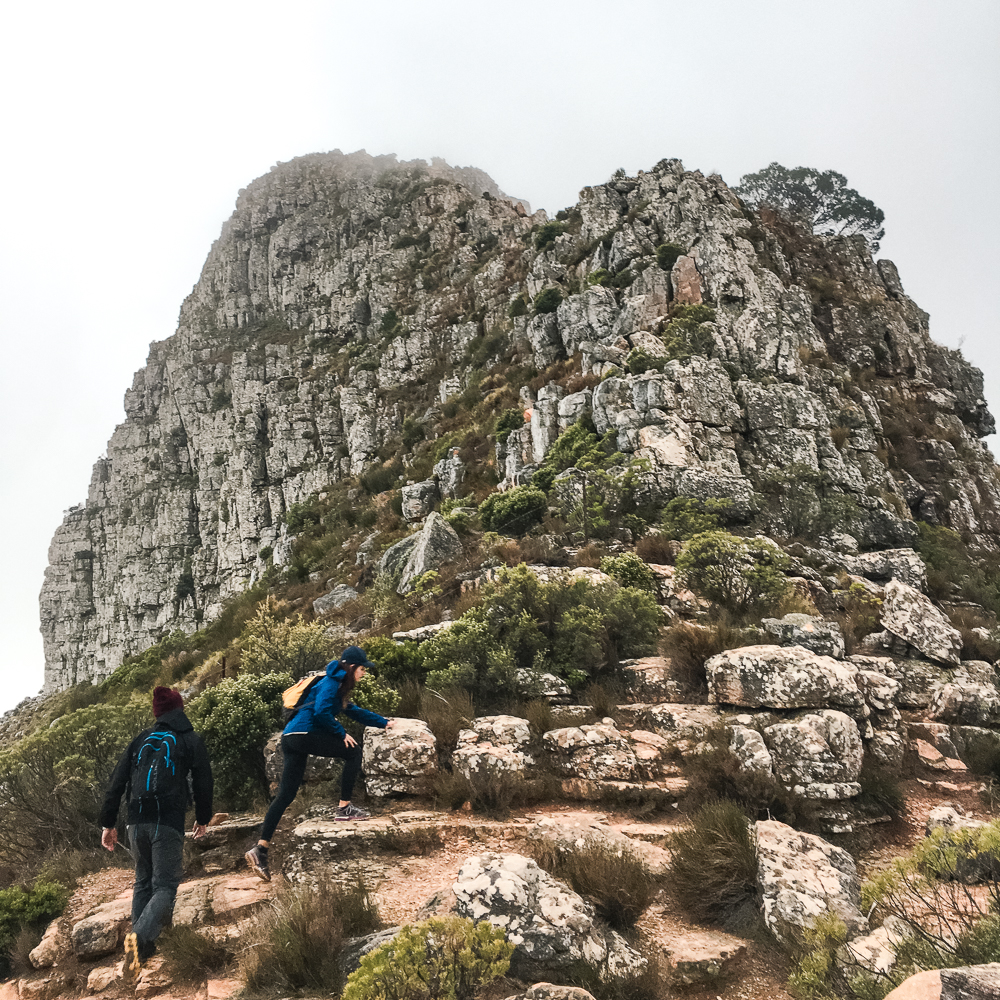 Lion's Head