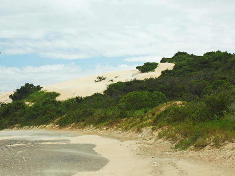Paisagem das dunas da Praia da Joaquina 