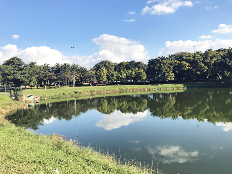 Parque Ibirapuera São Paulo