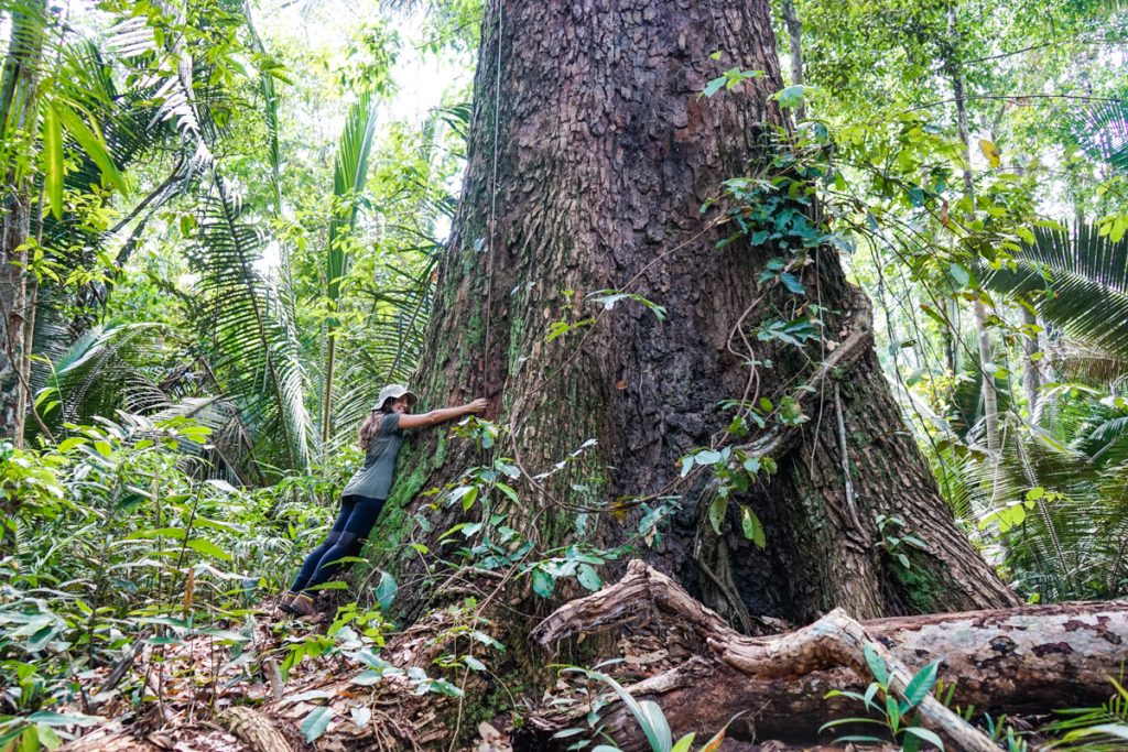 Juma Amazon Lodge