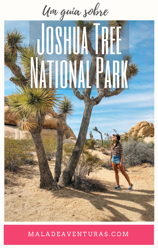 Tudo o que você precisa saber para visitar Joshua Tree National Park