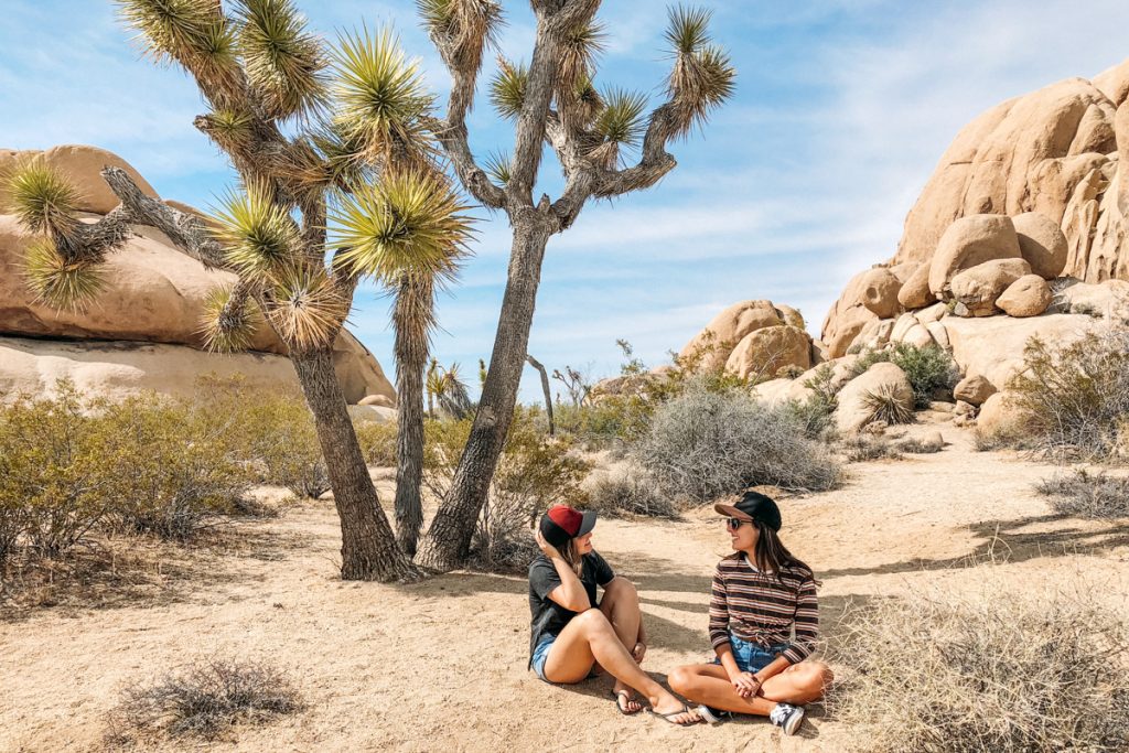 Parque Joshua Tree