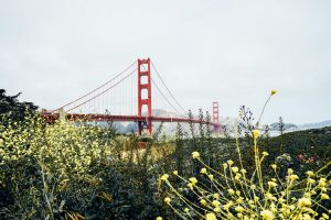 São Francisco em 48 horas: o que fazer na cidade em dois dias