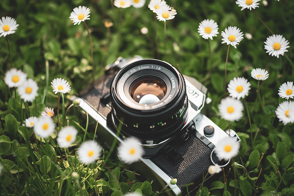 Lente 50mm: porque você deveria investir em uma