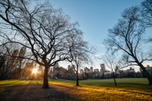 Parque em Nova York