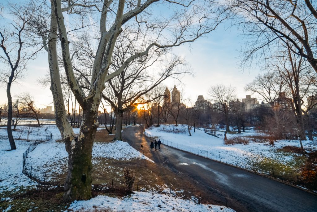 Nova York no inverno: como é o clima? o que fazer? o que vestir?