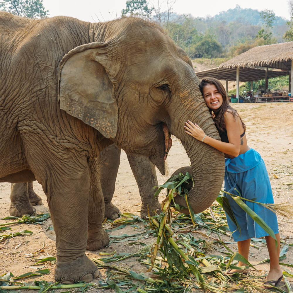 Passeio elefantes Tailândia