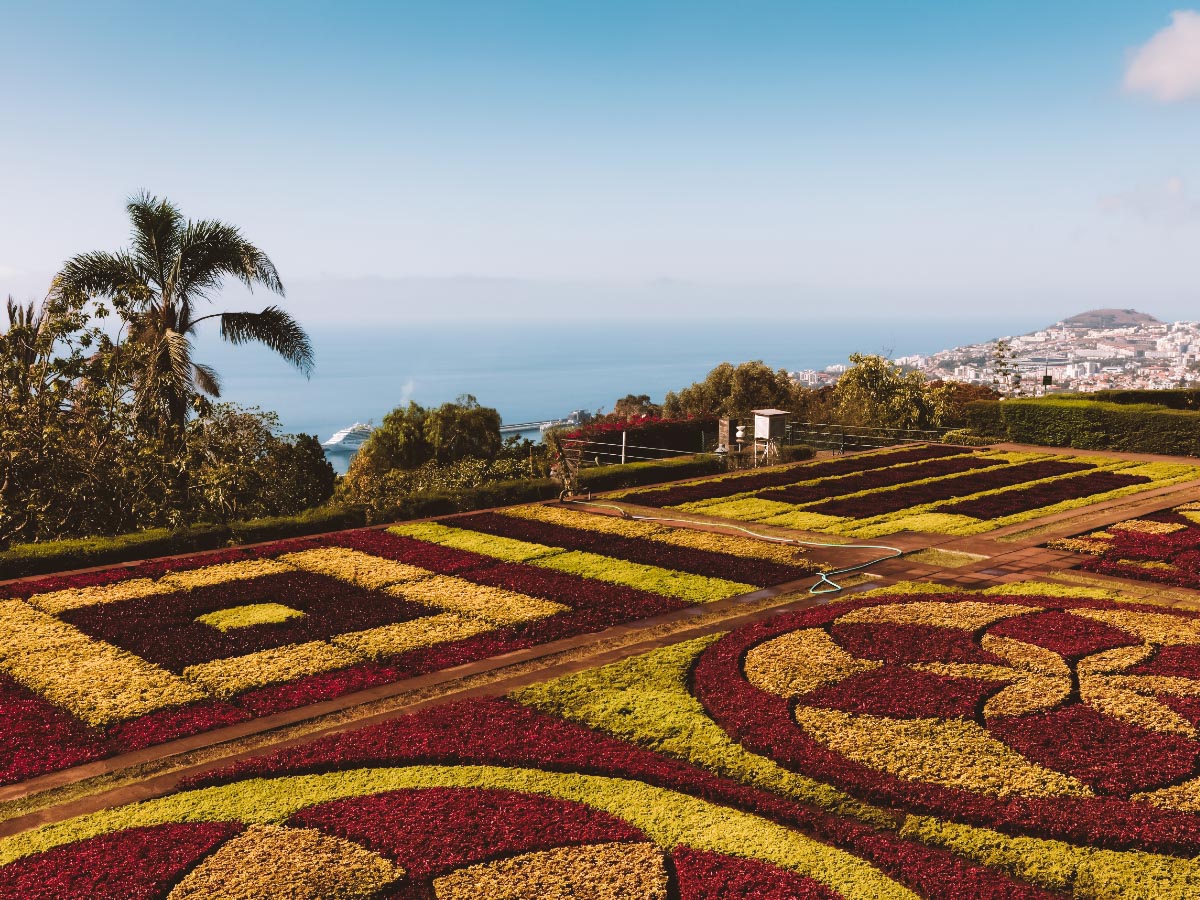 botanical garden ilha da madeira