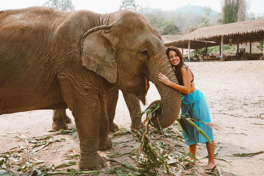 santuário elefantes tailândia