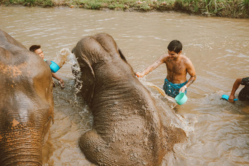 banho elefantes tailândia