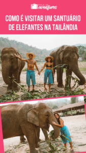 santuário de elefantes na tailândia