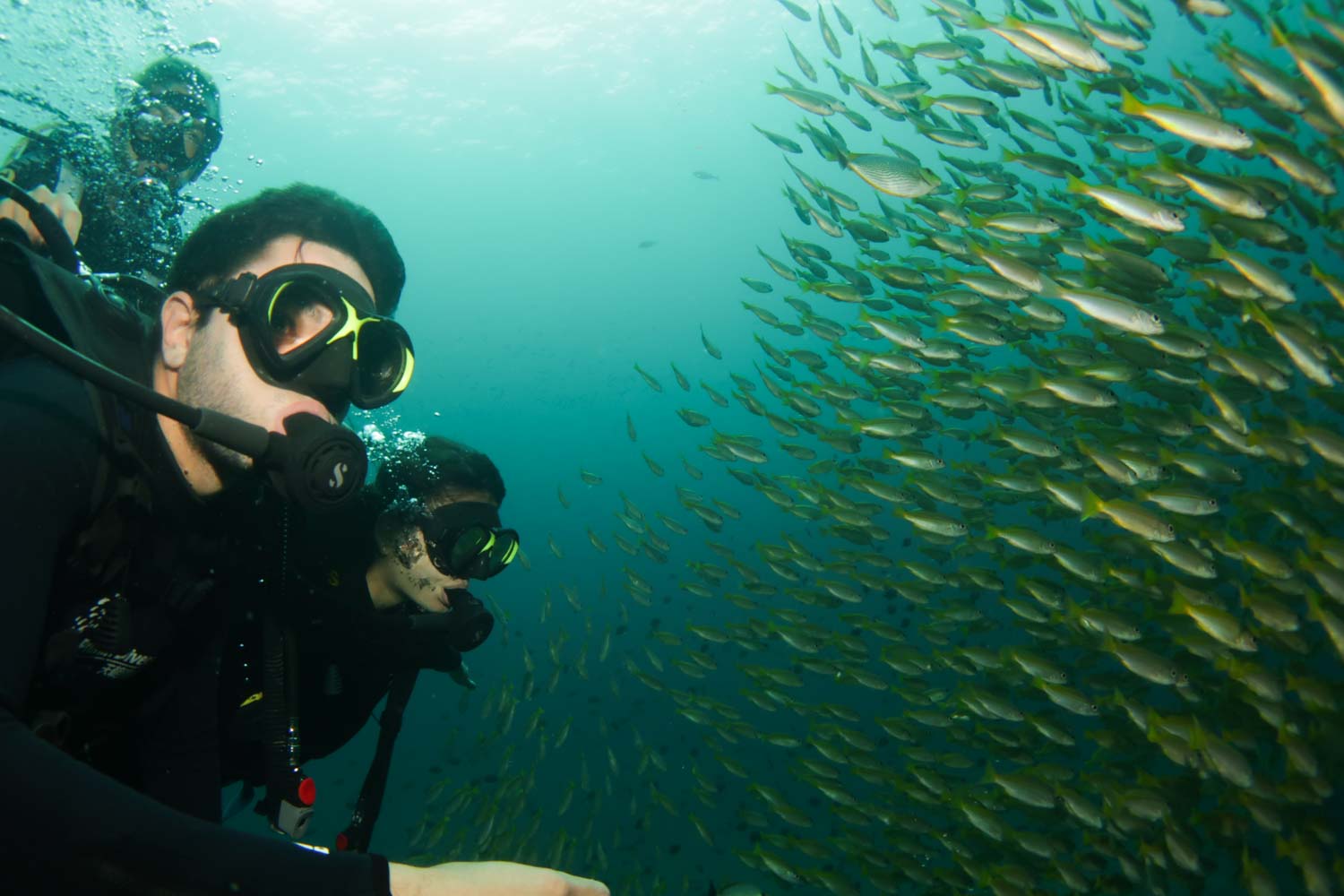 cardume-mergulho-tailandia