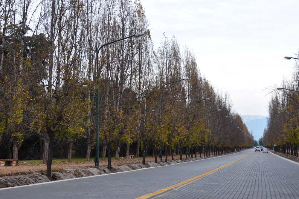 O que fazer em Mendoza no centro