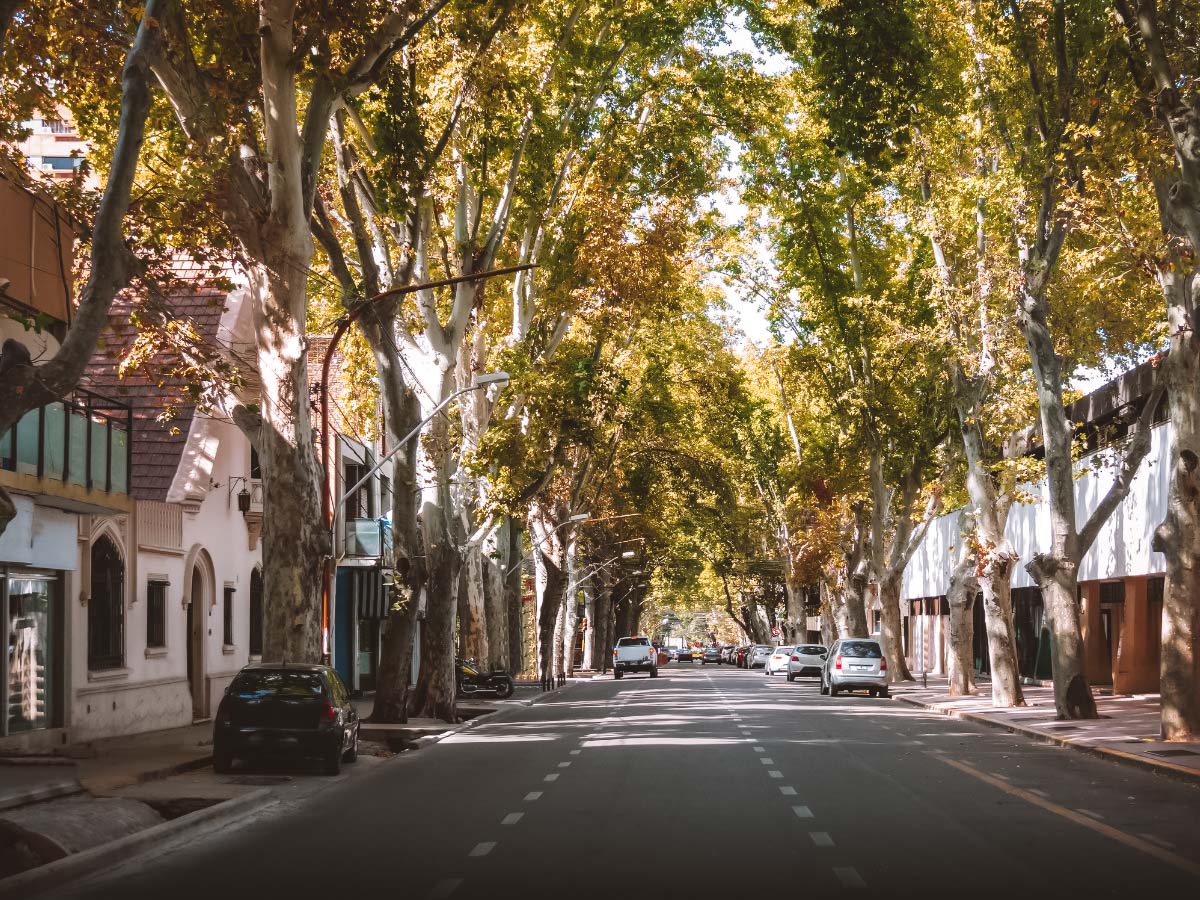 Alugar carro em Mendoza vale a pena? Quanto custa? Veja nossas dicas