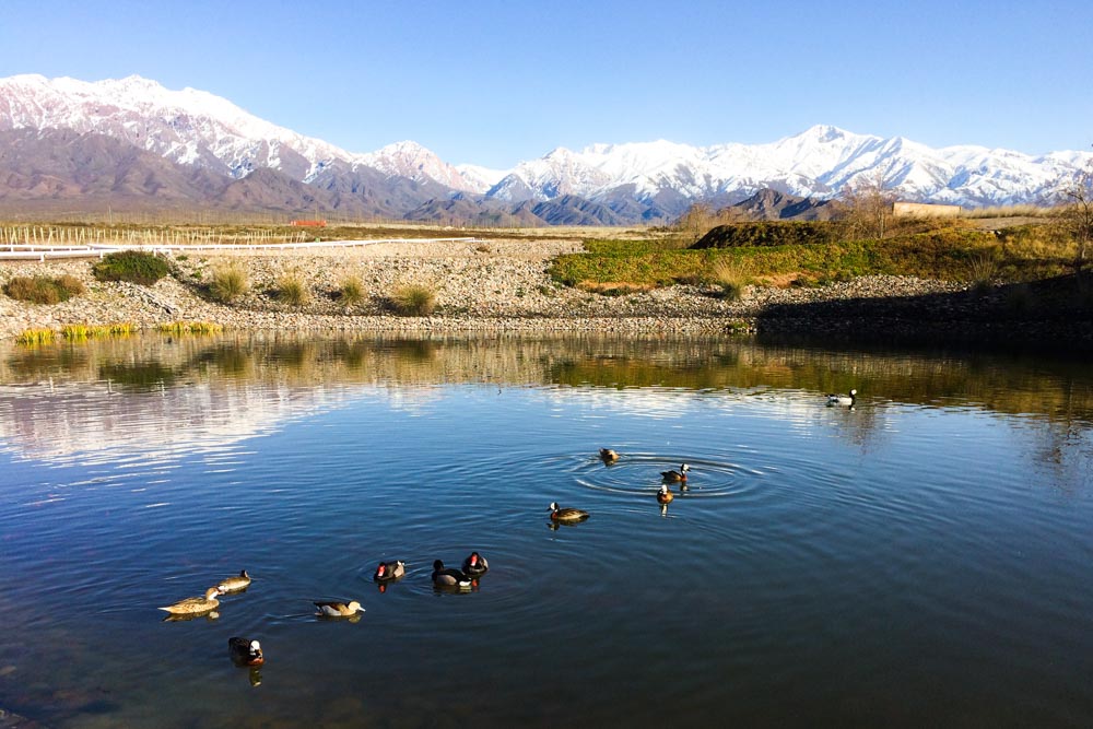 O que fazer em Mendoza: 10 passeios imperdíveis para incluir no roteiro