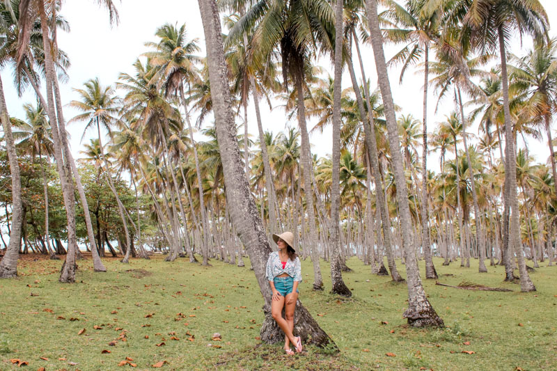 o que fazer em boipeba bahia