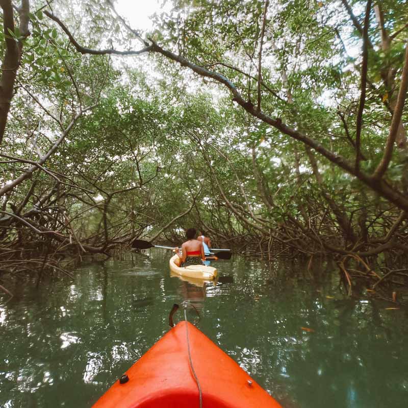 Em um dos túneis de mangue por onde passamos!