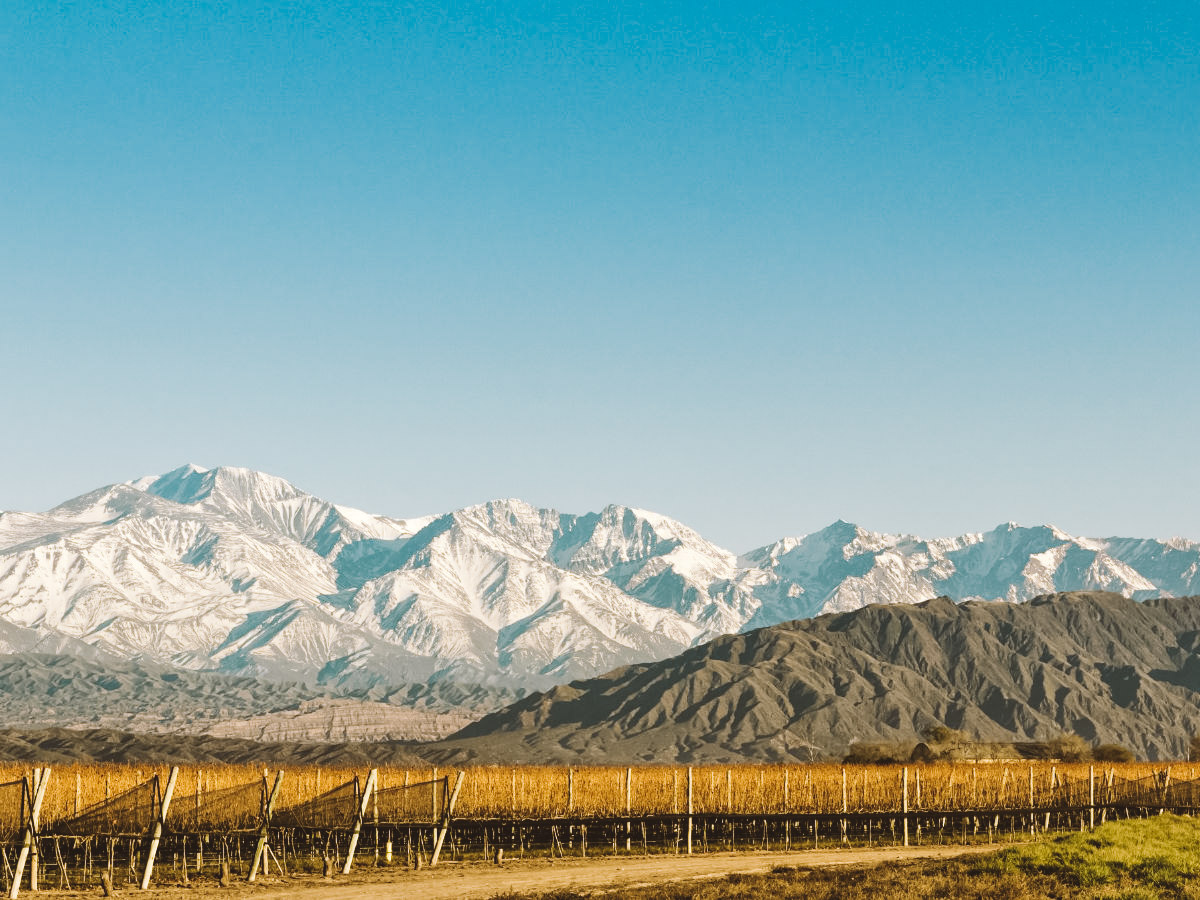 mendoza argentina
