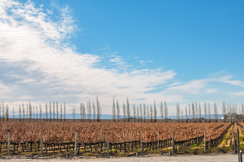 vinicolas de mendoza