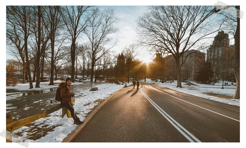 central park no inverno