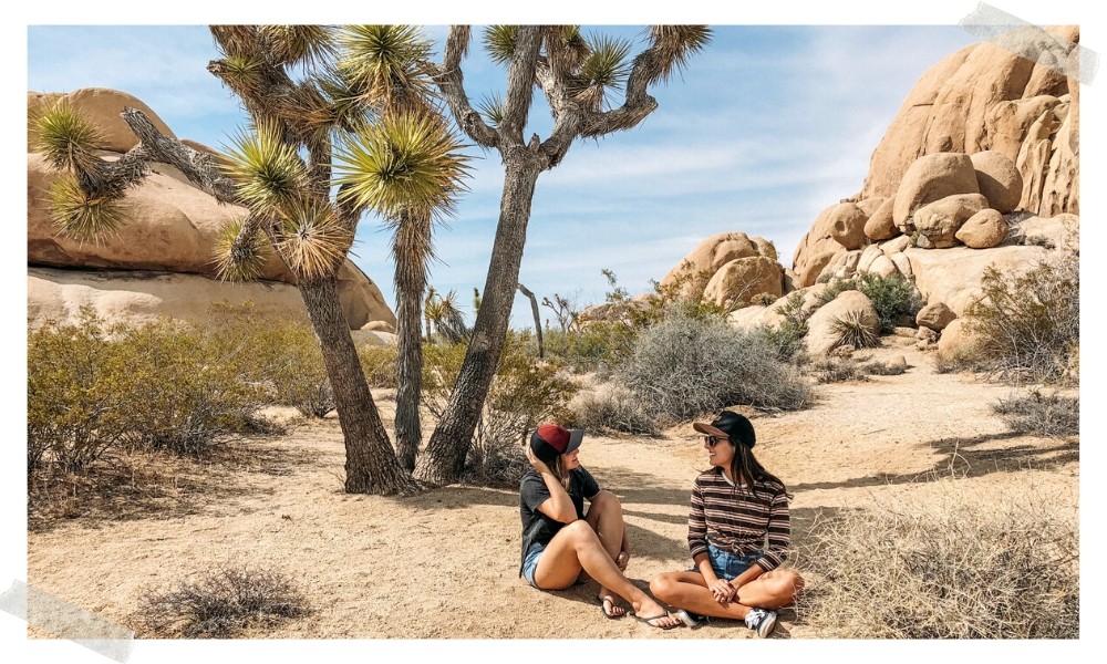joshua tree
