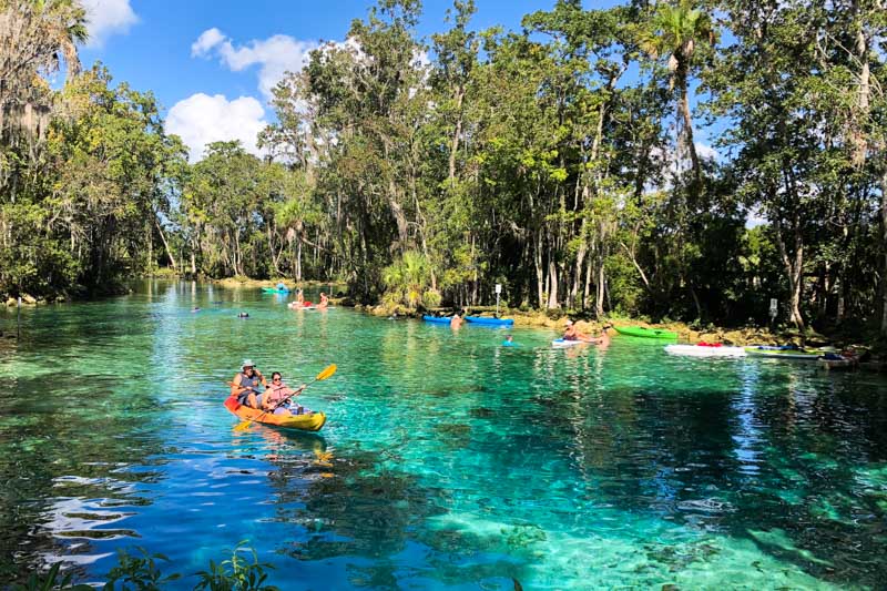 melhores passeios em crystal river