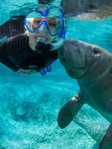 cropped-mergulho-manatee-crystalrives.jpg