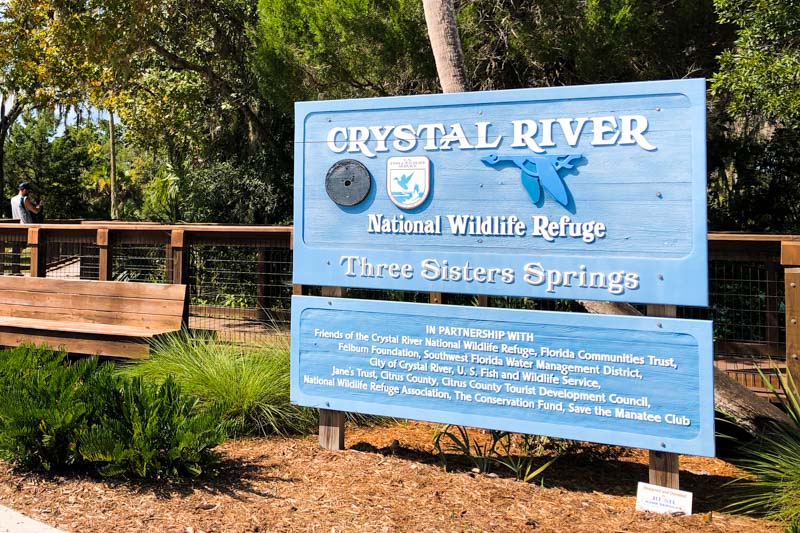 o que fazer em crystal river na flórida