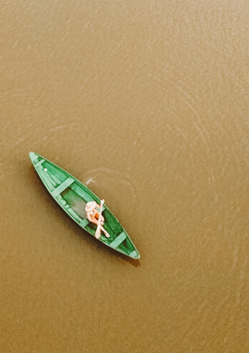 Amazônia Amazônia