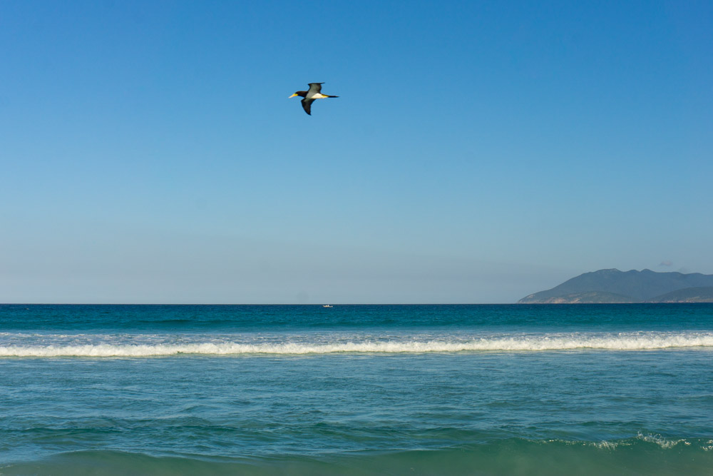 dicas de cabo frio