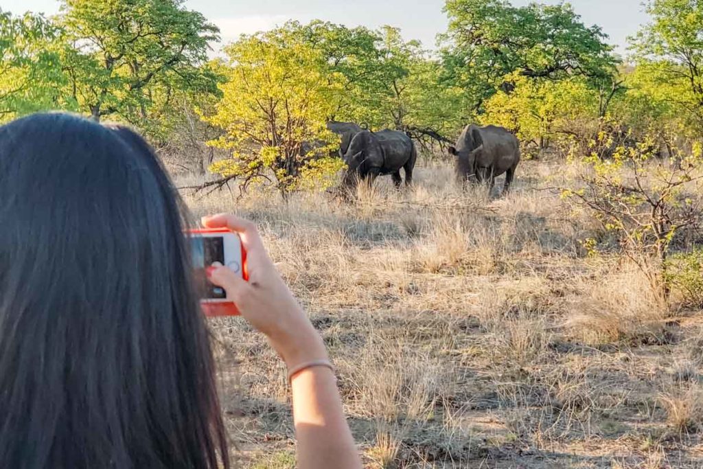 safari-kruger-national-par