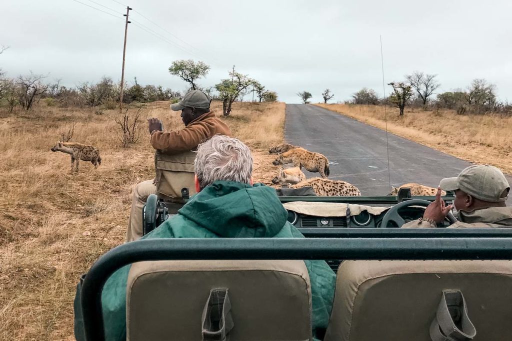 safari na africa do sul